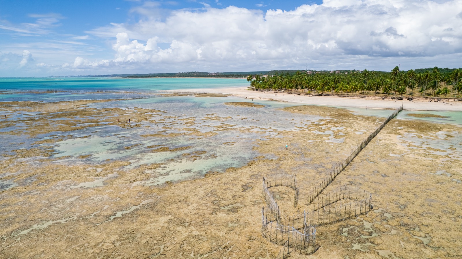 Piscinas naturais e corais de Ipioca